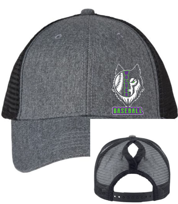 Altoona Wolves Ponytail Hat